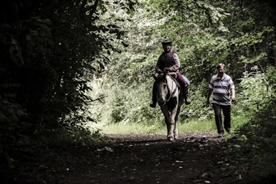 A person is riding a horse through a wooded path, accompanied by another individual walking beside them. The area is lush with dense greenery, casting shadows over the path.