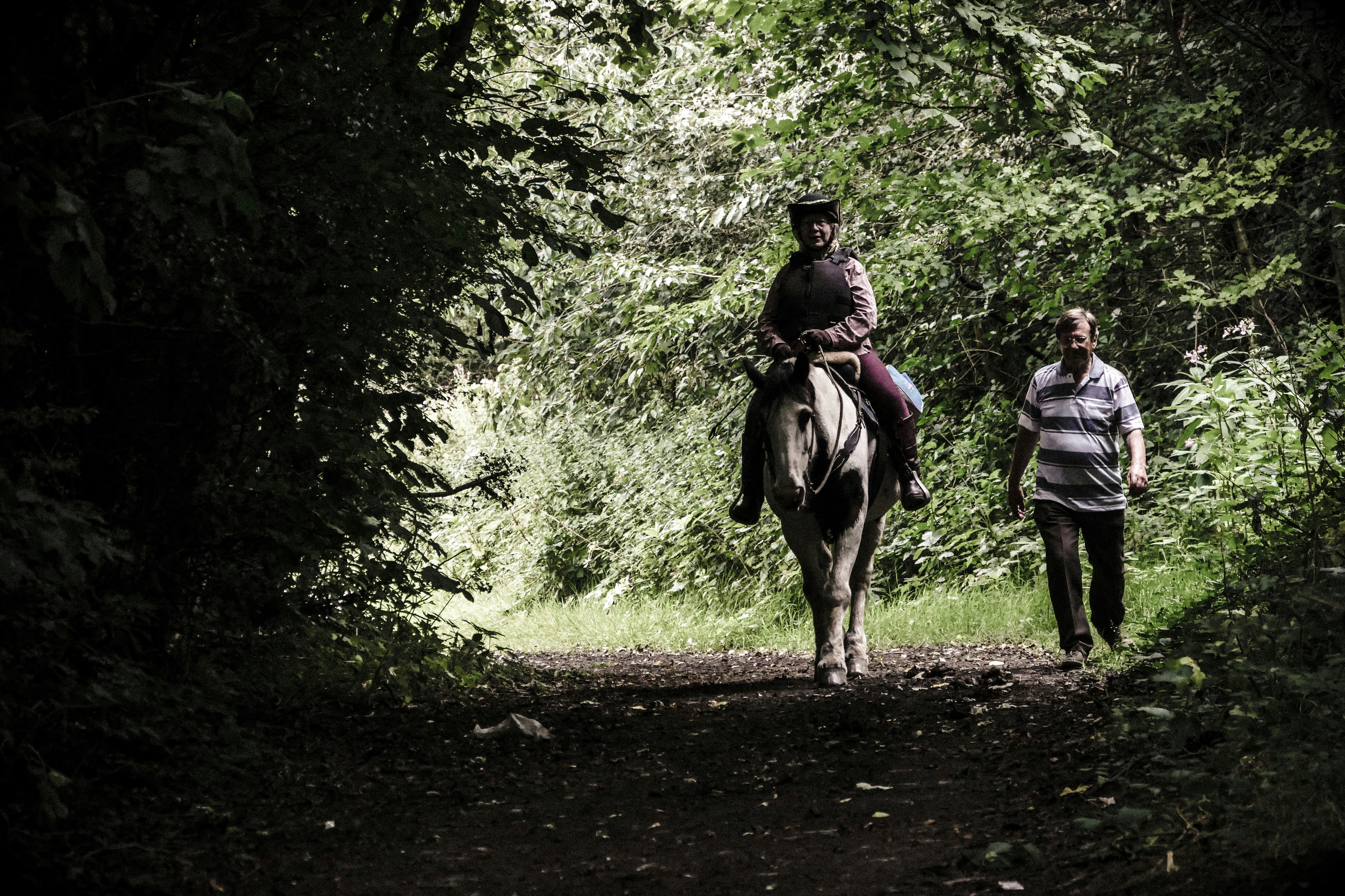 Riding in the forest