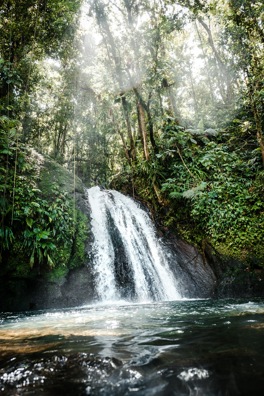 Cascadas en acantilados cerca de árboles durante el día