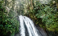 waterfalls on cliff near trees at daytime