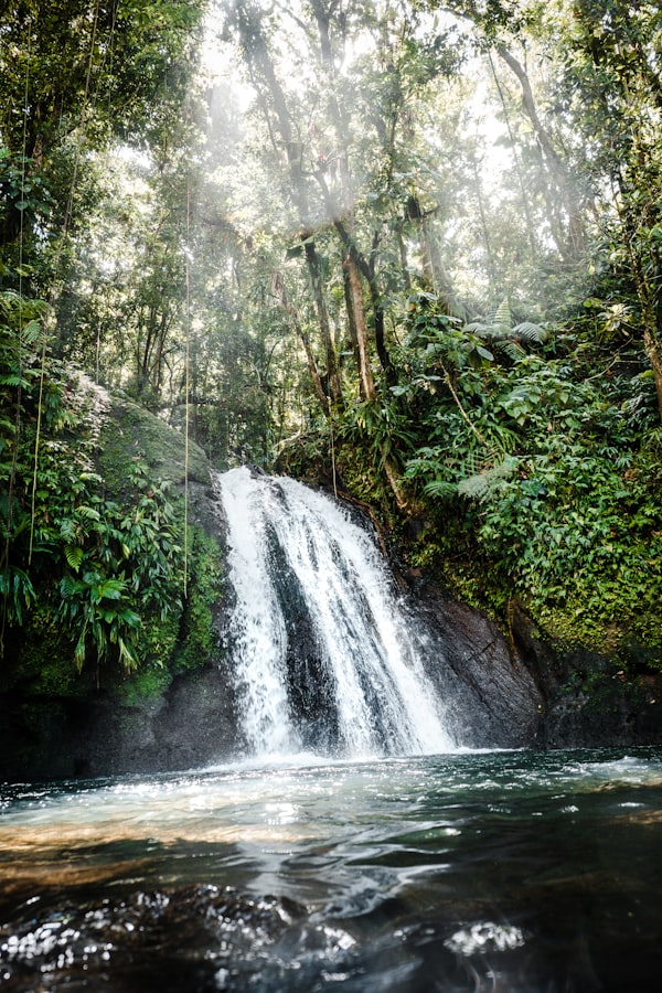 Twin waterfalls cascading through lush jungle