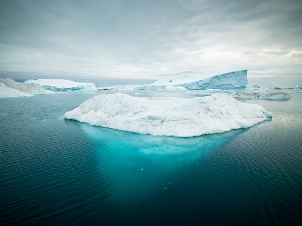 The Collapse of the Antarctica Sea Ice is Happening in Real Time