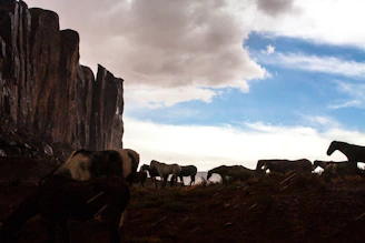 Starry night sky above the ranch with silhouettes of horses grazing nearby.