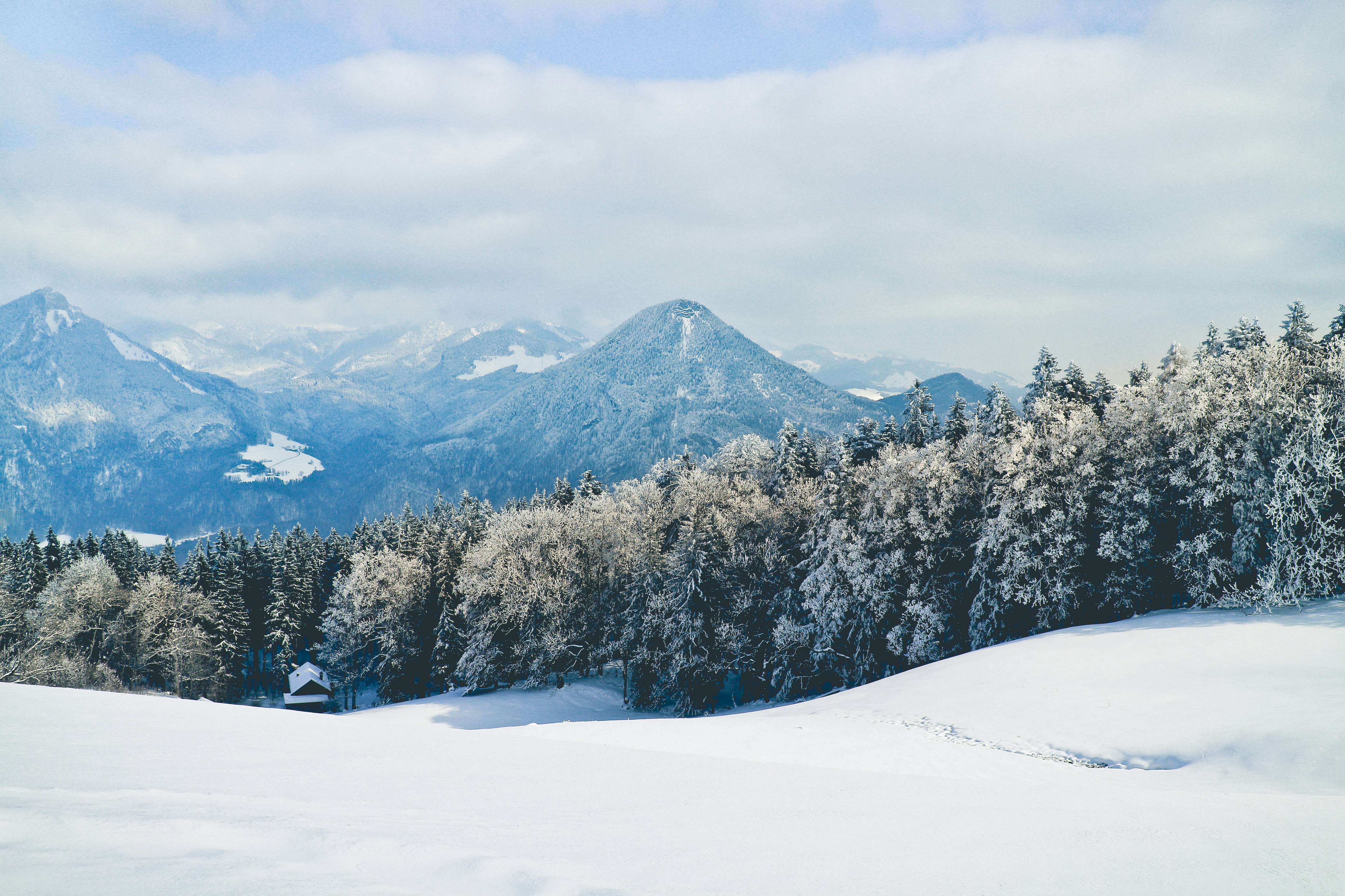 Photo by niklas_hamann