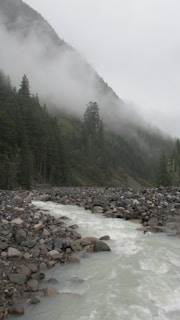 An artistic 3D interpretation of a natural landscape with mountains and rivers.