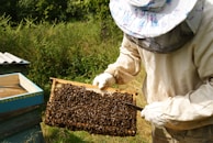 A beekeeper tending to a hive surrounded by blooming wildflowers.
