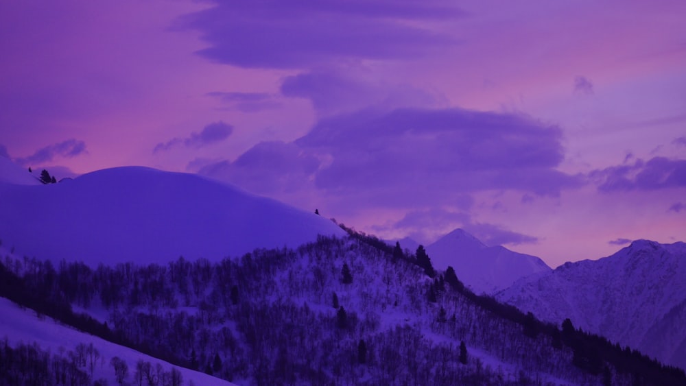 Những hình ảnh rừng màu tím đầy mê hoặc sẽ đưa bạn vào một cuộc phiêu lưu kỳ thú giữa thiên nhiên. Với màu sắc đặc trưng, hình nền núi màu purple sẽ là một lựa chọn hoàn hảo để thể hiện sự lãng mạn, bí ẩn và sự quyến rũ của mình.