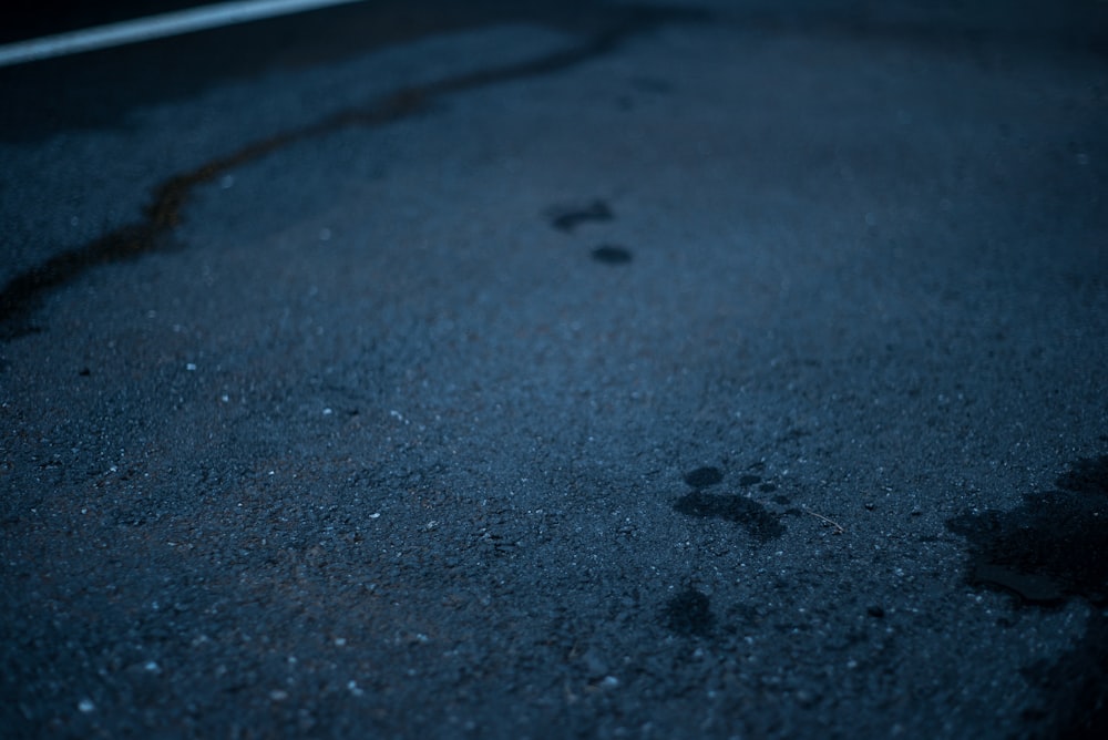 Eine schwarze Katzenpfote drückt auf dem Boden ab