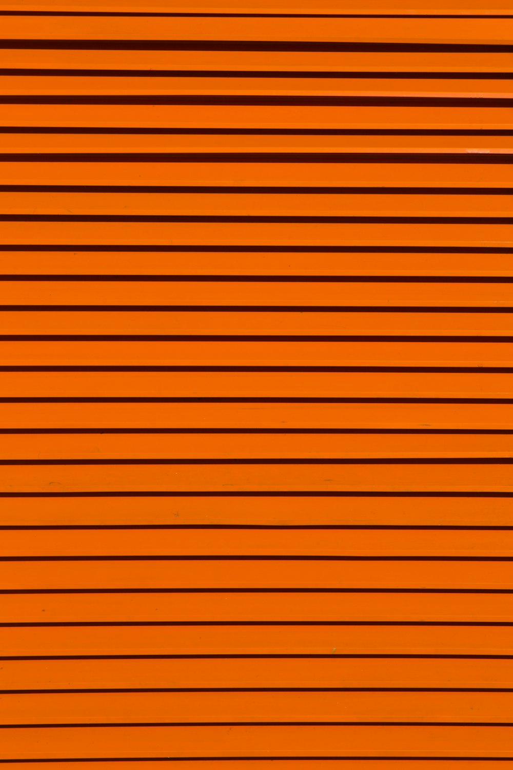 Orange Colour Pictures Download Free Images On Unsplash