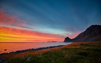 green grass field and seashore in landscape photography