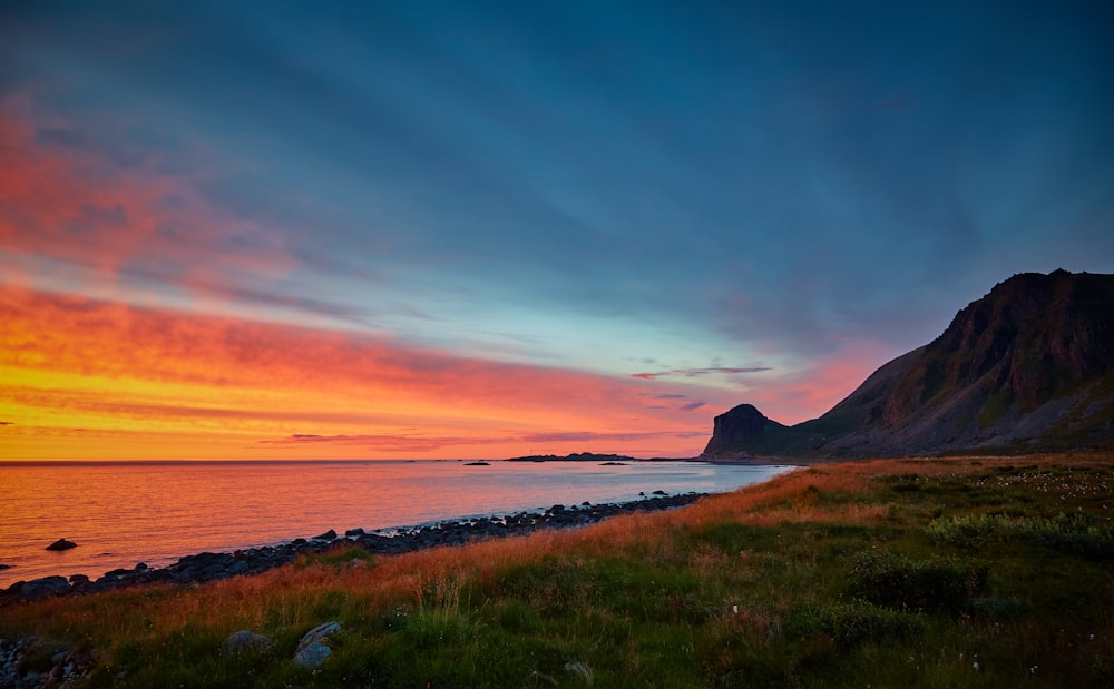 green grass field and seashore in landscape photography