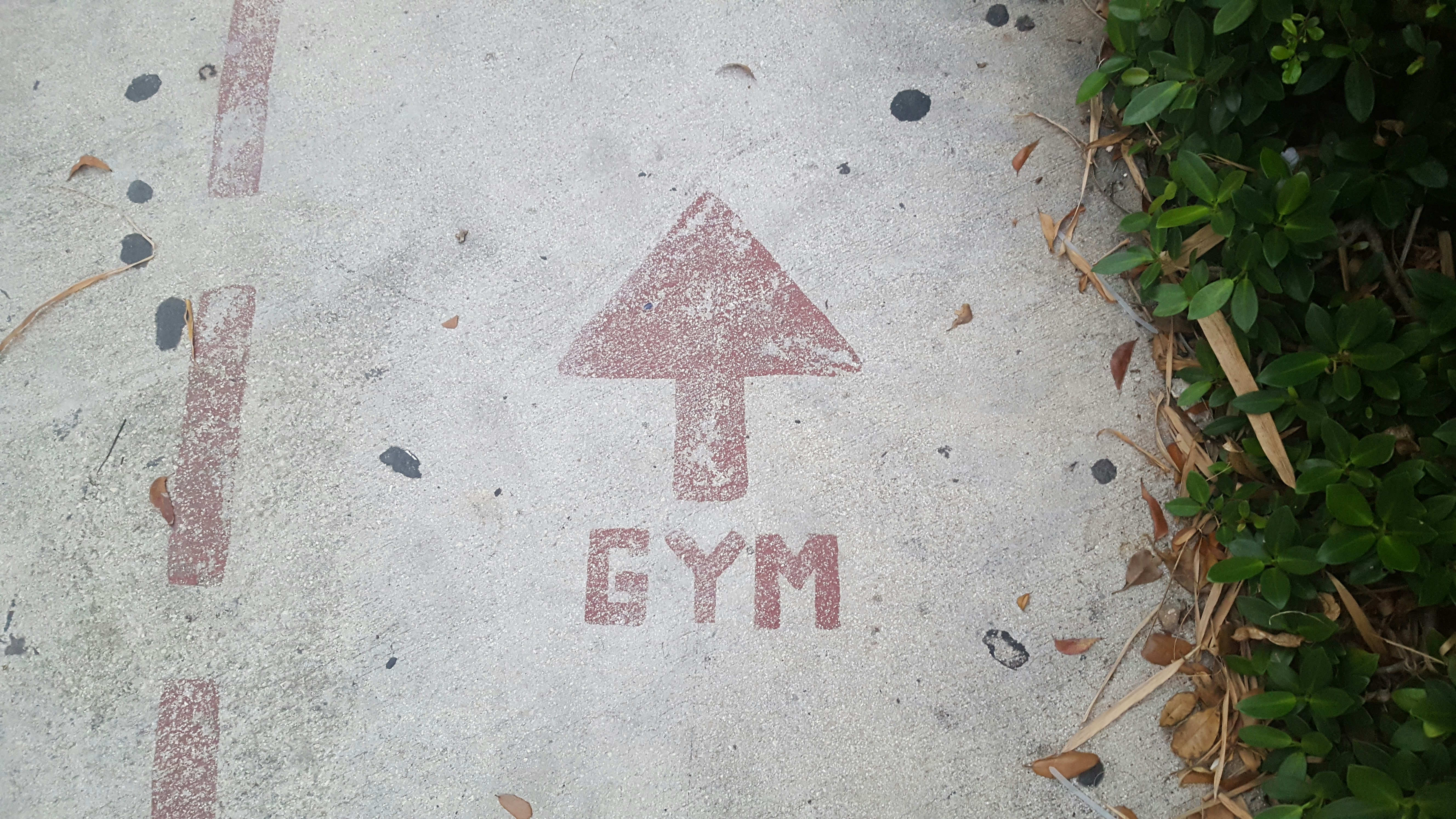 The Gym Arrow