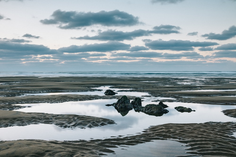 sand field with water