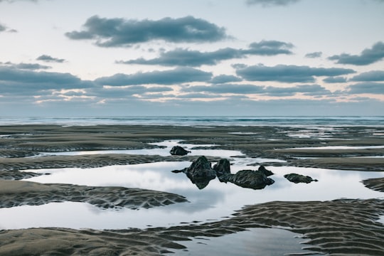 Barinatxe hondartza (La Salvaje) things to do in Barrika