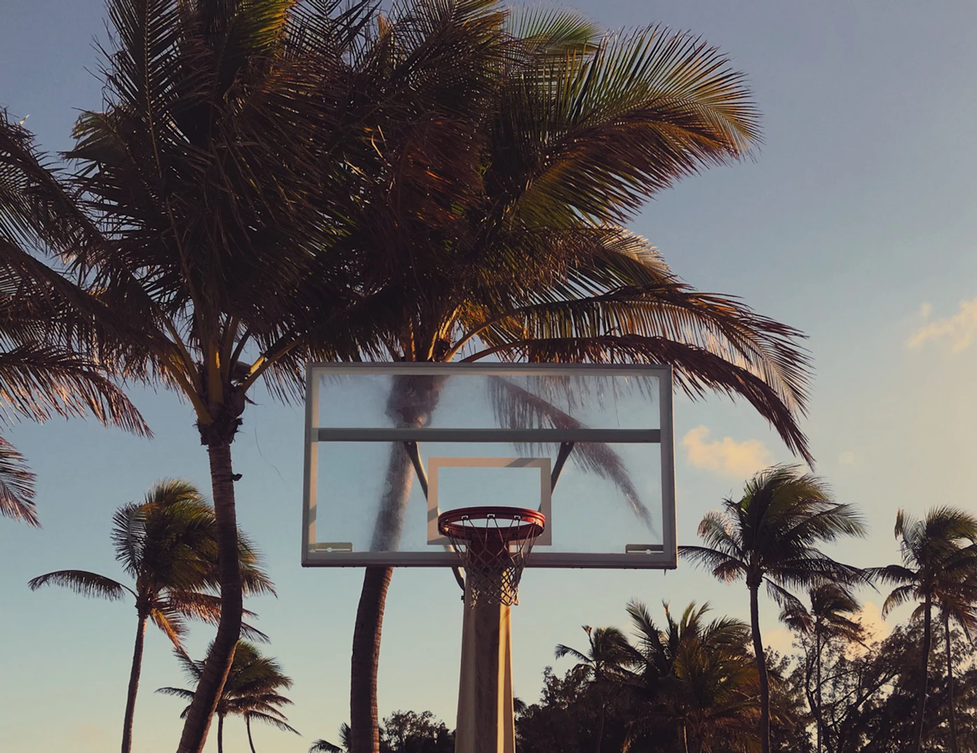 A basketball hoop under the palms. Pickup games and open gyms burn off the restlessness of early recovery.
