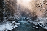 river between snow filled soil