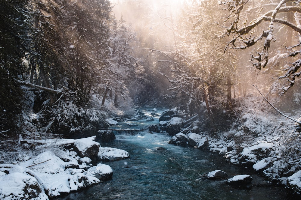 river between snow filled soil