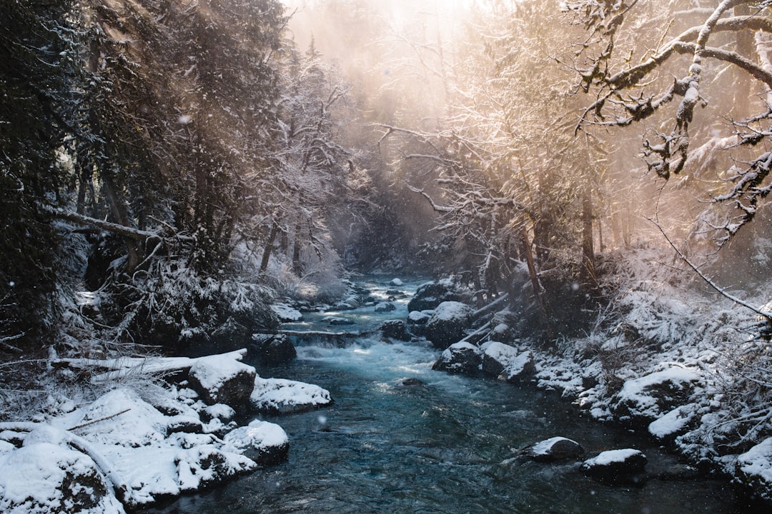 Stream photo spot Chilliwack Harrison Hot Springs