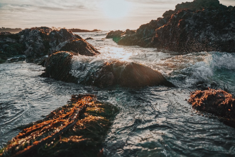 gray rock formation on body of water at daytime