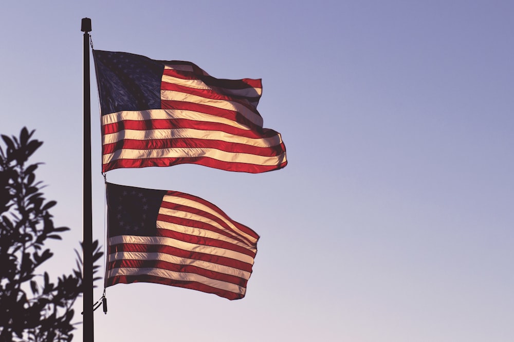 two flags of the U.S.A. on pole
