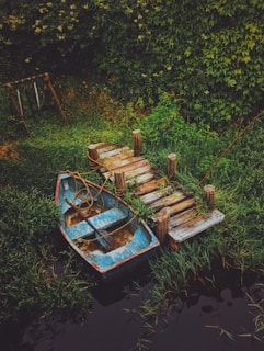 blue and brown canoe beside dock