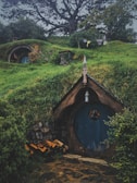The Hobbit house