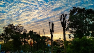 Sunset Lakeside View