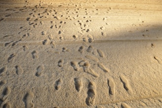 Sunlight streaming onto a sandbox filled with toys and tiny footprints around.