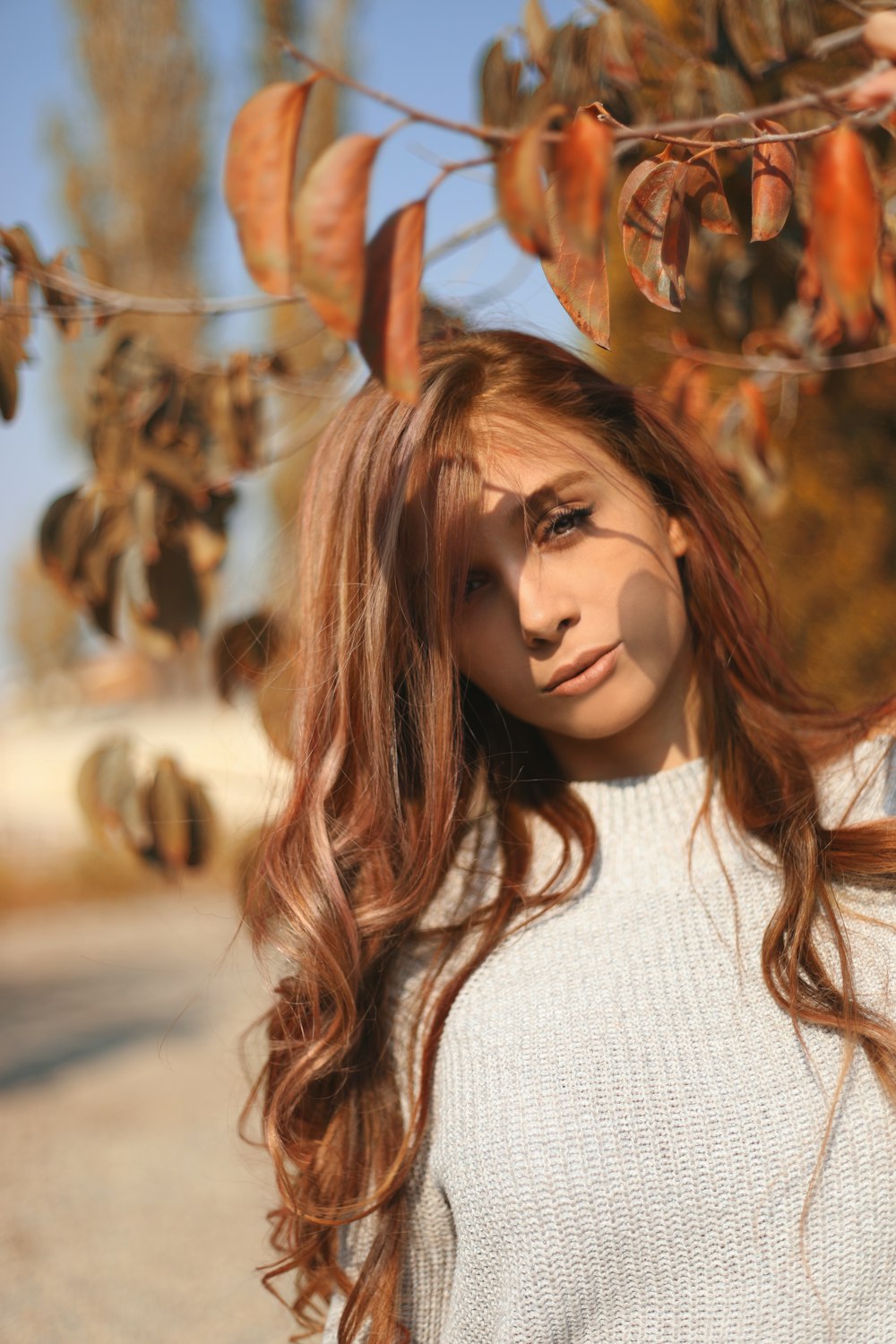 woman wearing gray sweater holding brown leaves