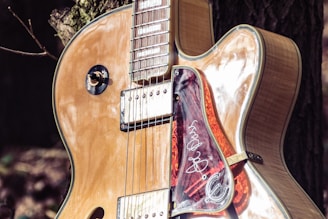 A close-up of a glossy electric guitar featuring a natural wood finish and shiny metal components. The guitar is leaned against a tree, which can be seen in the background. Its pickguard has a distinctive design that includes white scribbles or an autograph.