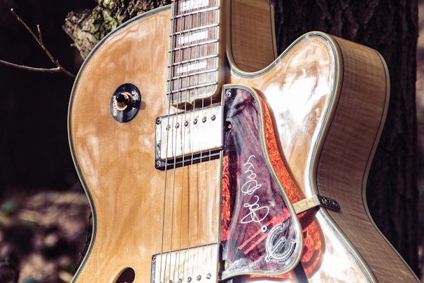 A close-up of a glossy electric guitar featuring a natural wood finish and shiny metal components. The guitar is leaned against a tree, which can be seen in the background. Its pickguard has a distinctive design that includes white scribbles or an autograph.