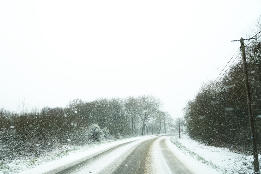 leere, kurvenreiche Straße, umgeben von Schnee