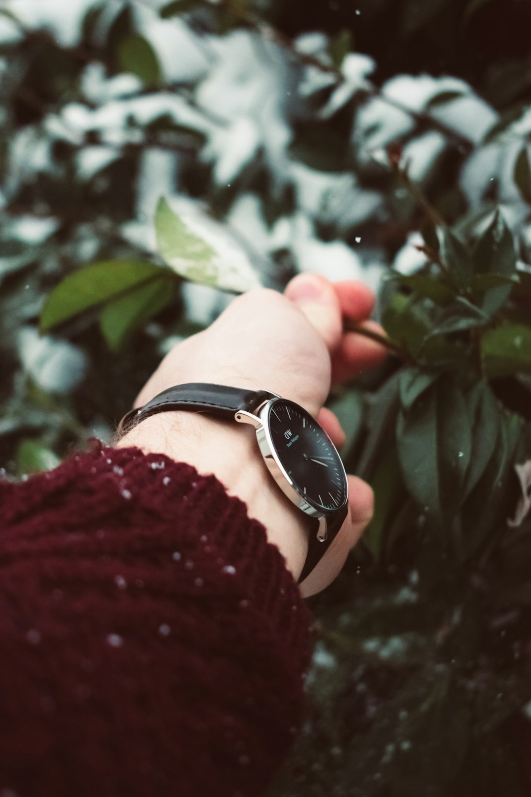 selective focus photography of person holding green leafed tree branch