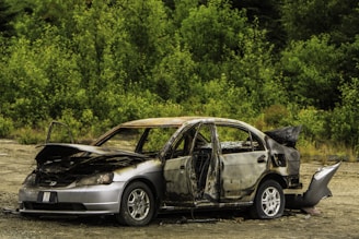 A severely burned car is positioned on a dirt surface, surrounded by dense green foliage. The vehicle is missing its roof, the interior is exposed, and the exterior surfaces are charred and weathered.