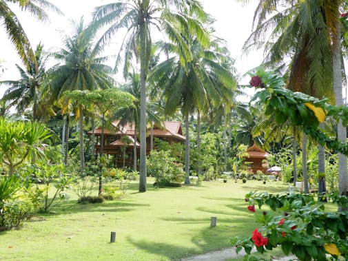 A lush tropical garden with tall palm trees and well-maintained green grass. Wooden structures, resembling traditional houses or cabins with sloped roofs, are situated amidst the greenery. Various tropical plants and flowers, including red hibiscus, are seen in the foreground.