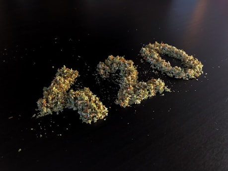 Dried cannabis leaves are arranged on a dark surface to form the numbers 420.