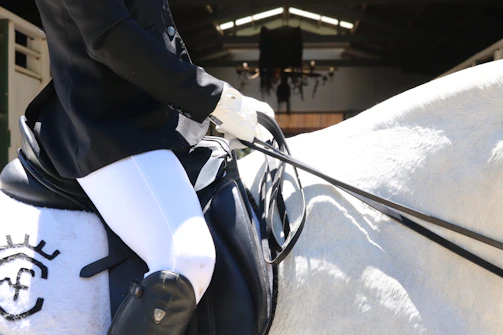 A rider gracefully guiding a horse through a dressage routine.