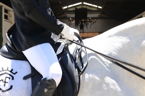 A person is riding a horse, dressed in equestrian attire including a black jacket and white gloves. The horse is white and wearing a black saddle with a visible riding rein. The background has a dimly lit indoor environment.