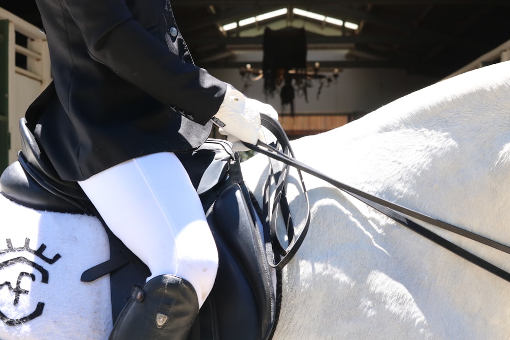 person riding white horse