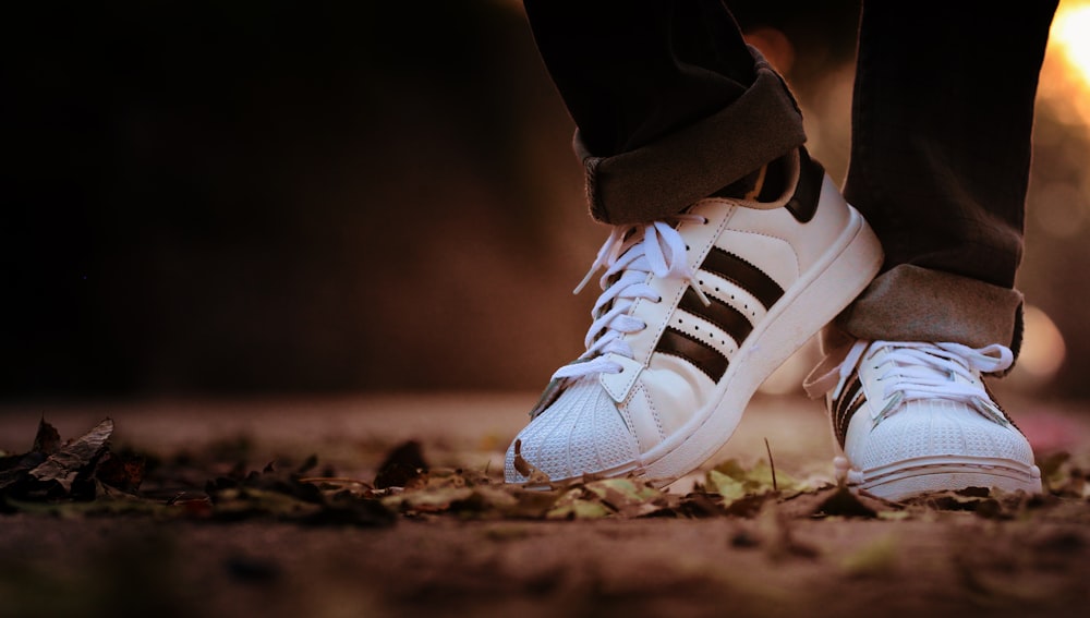 person wearing pair of white adidas Superstar sneakers during daytime