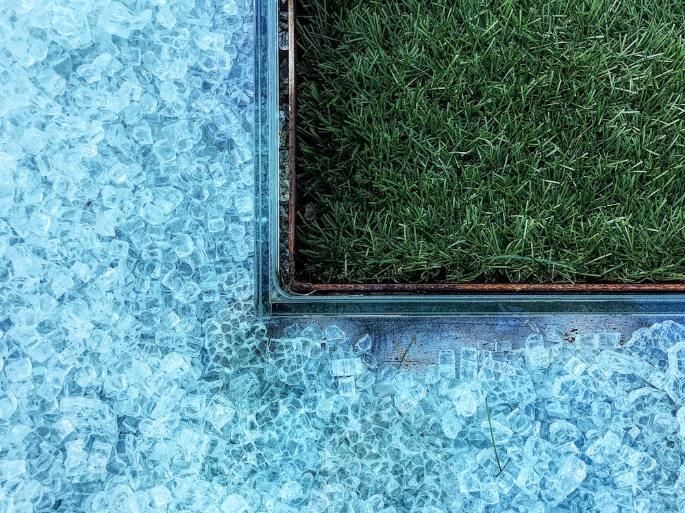 photo of green grasses near tiles