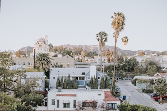 photo of white houses during daytime in Hollywood United States