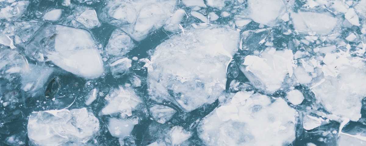 broken snow flakes on water