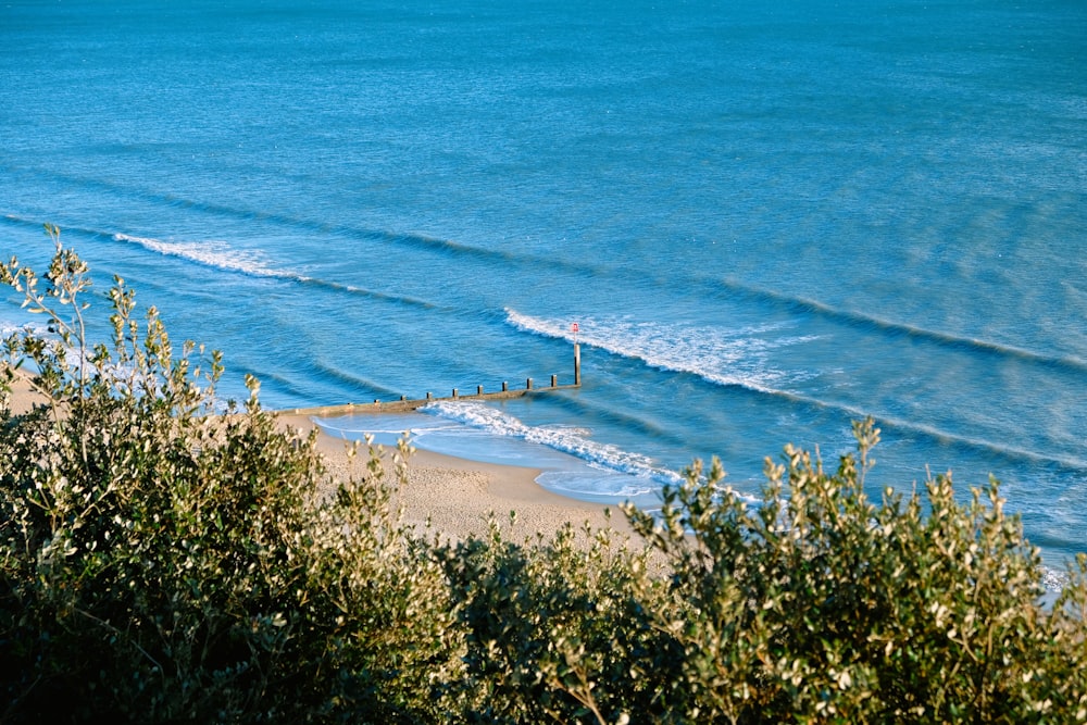 Foto de la orilla del mar durante el día