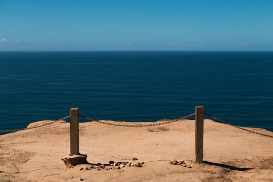 brown wooden post on brown sand near blue sea during daytime in Torrey Pines United States