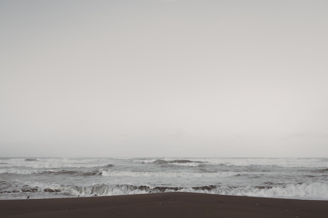 Beach photo spot Espinho Esposende