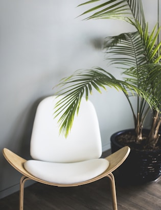 brown wooden chair beside plant