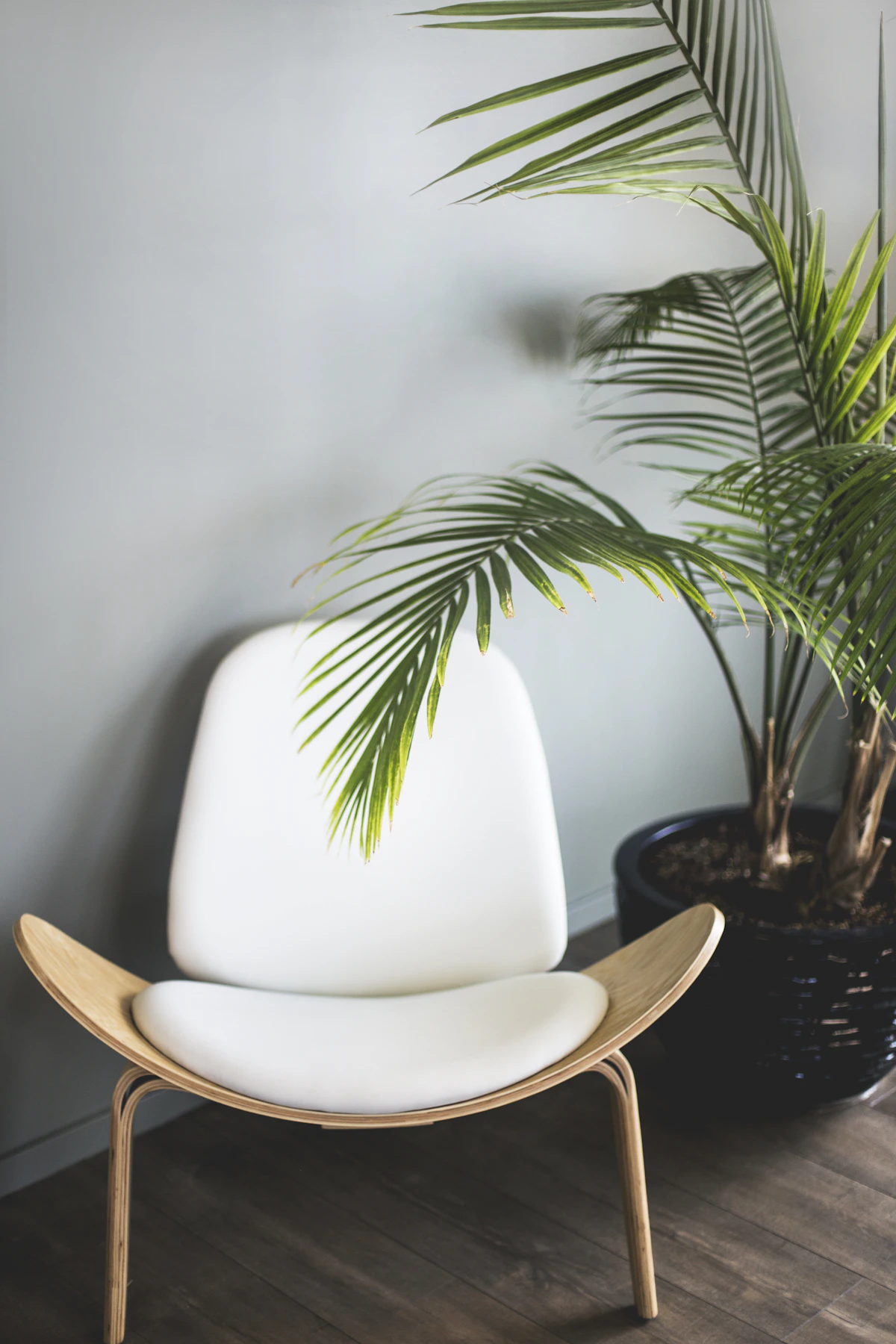 Office workspace chairs