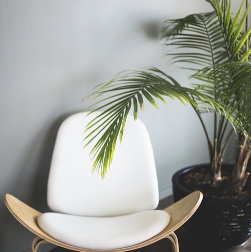 brown wooden chair beside plant
