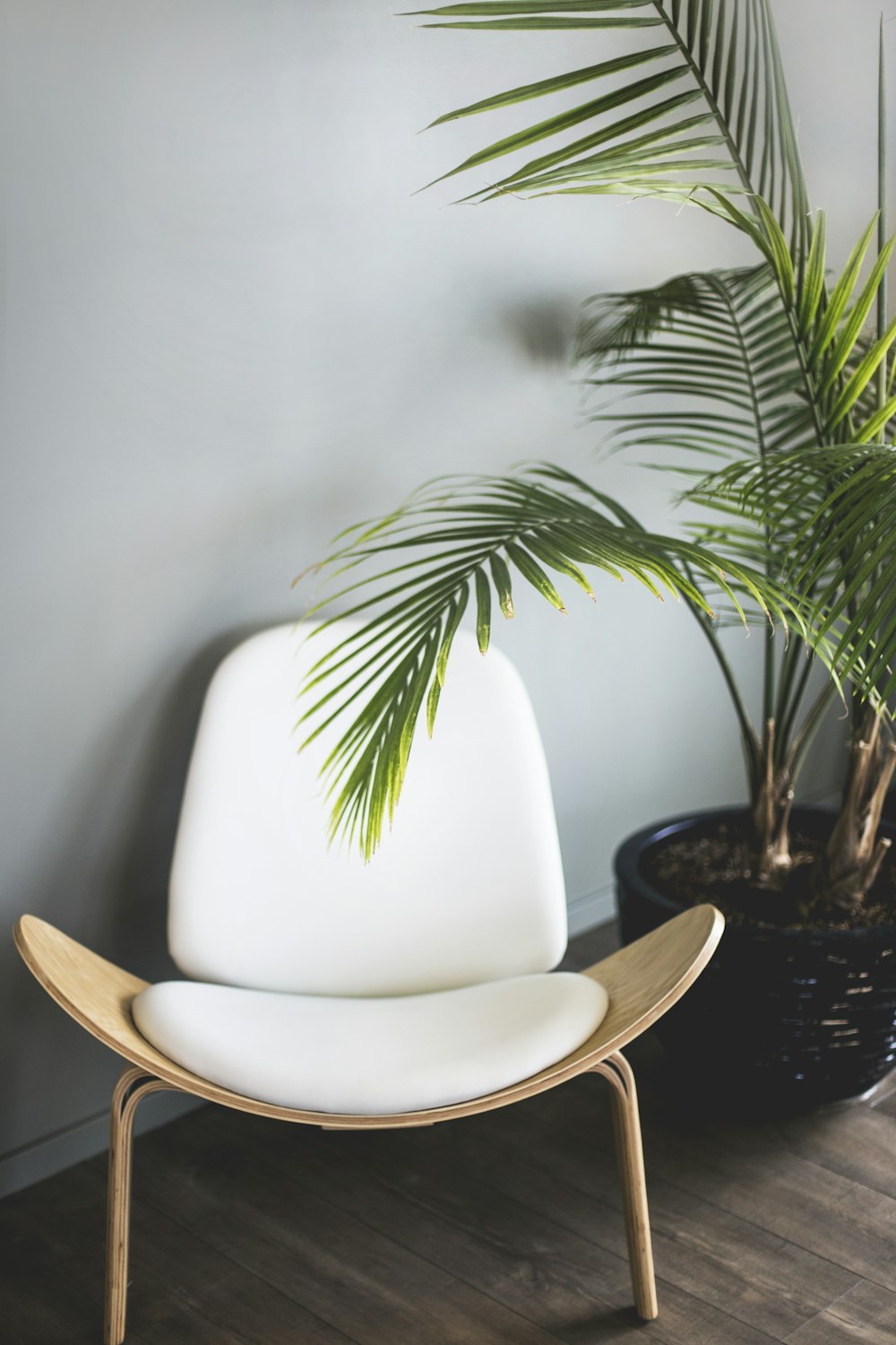 chaise en bois marron à côté de la plante